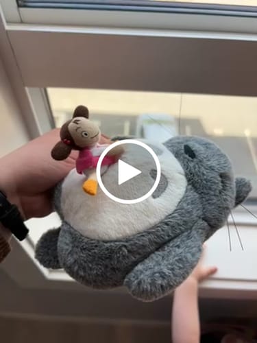 Customer video review of Nibariki My Neighbor Totoro Plush Toy