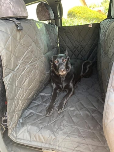 Customer photo review of Floor Hammock for Crew Cab Trucks - Driver Side
