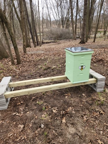 Customer photo review of BeeCastle Hives 10 Frame Wax Coat Complete Beehive Kit:2 Designed Deep Bee Boxes and 1 Super Medium Box,Includes Premium Wooden Frames and Beeswax-Plastic Foundation
