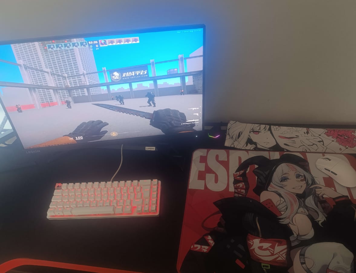 Customer photo review of ESPTiger Tang Dao Pioneer Series Mousepad