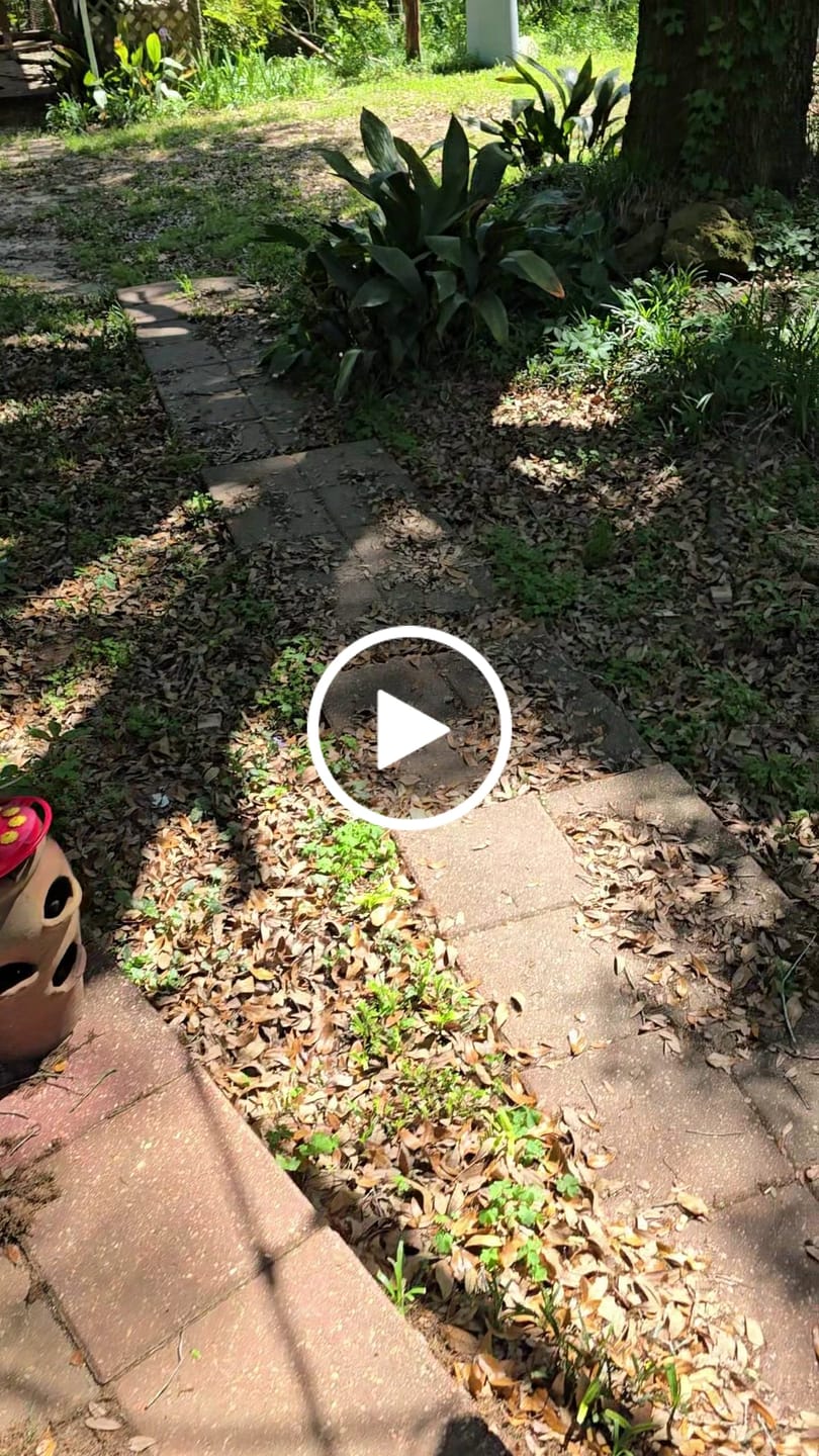 Customer video review of World's Hottest Pepper Powder 1.5 Oz Spice Gift Box