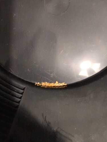 Customer photo review of Nugget Fever - Gold Panning Paydirt