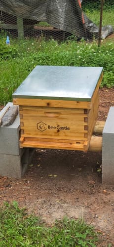 Customer photo review of Wax-Coated 10 Frame Deep Brood Bee Box with Removable Window,Pine Wooden Frame, Beeswax Plastic Foundation, and Transparent Acrylic Panel for Easy Observation