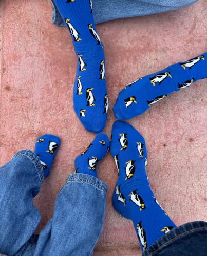 Madalena B. review of PENGUIN PARADE SOCKS image 1 out of 1