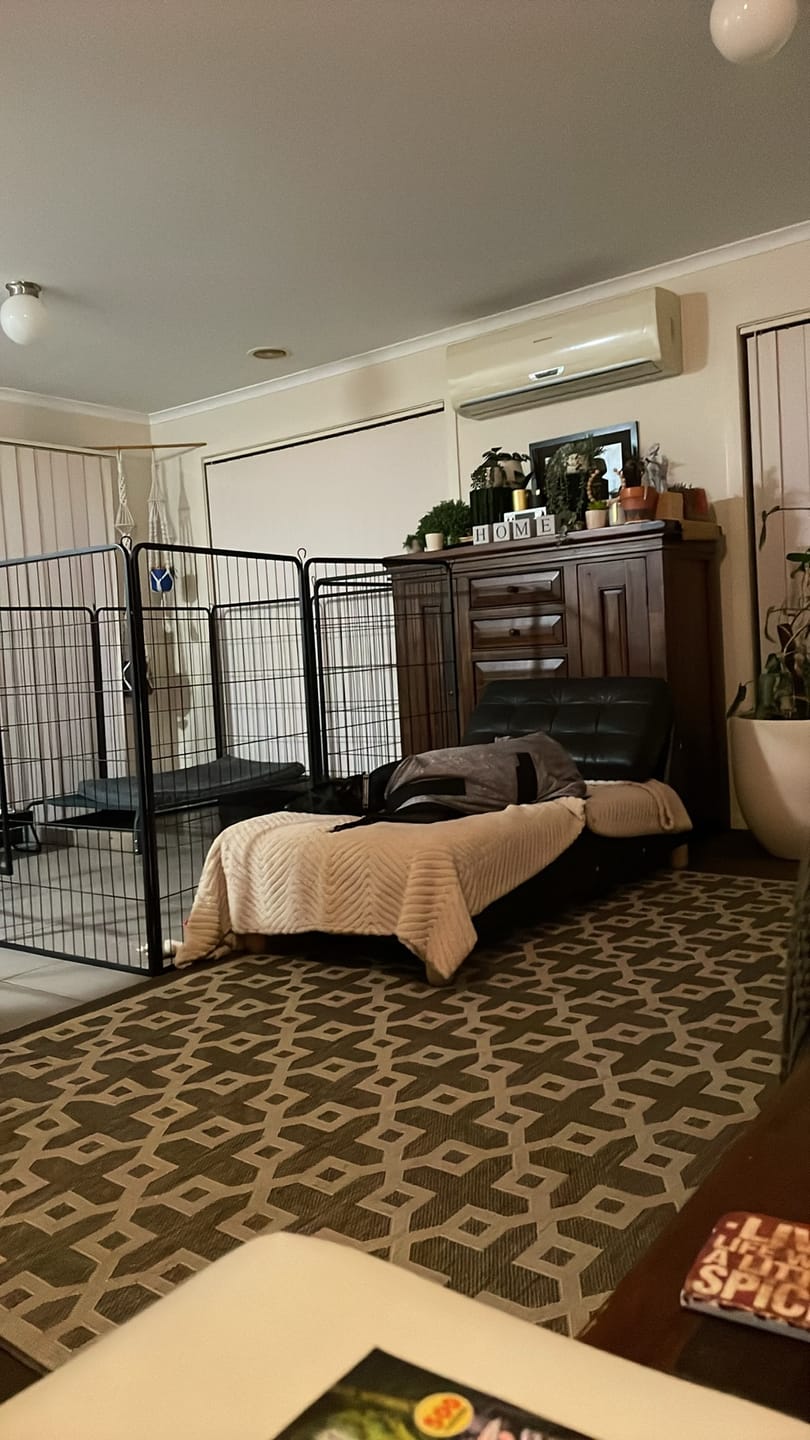 Customer photo review of PaWz 8 Panel Pet Dog Playpen