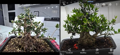 Customer photo review of BULK MASTER CB® (Pompaggio Estivo)