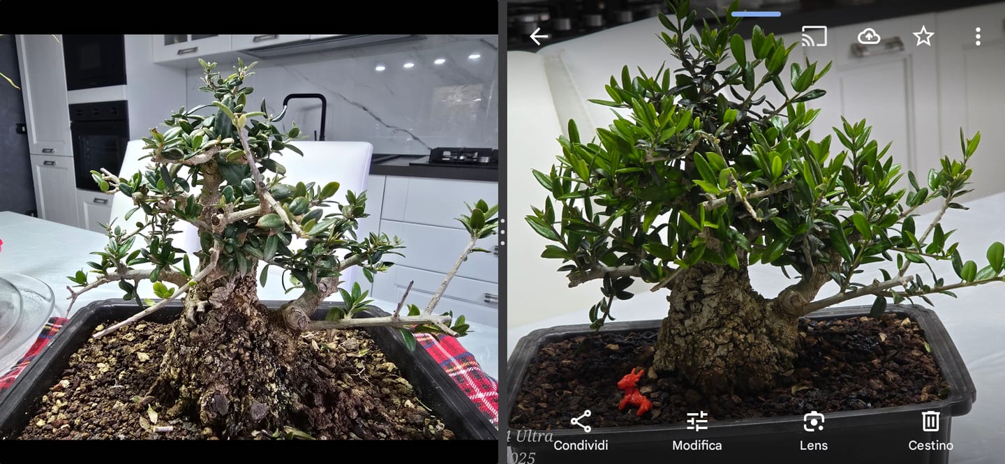 Customer photo review of BULK MASTER CB® (Pompaggio Estivo)