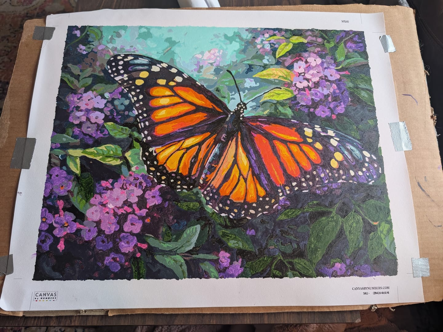 Customer photo review of Monarch Butterfly Painting