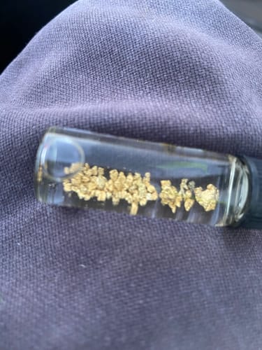 Customer photo review of 5 Lb. NUGGET RESERVE™ ‘Specimen Elite’ - Gold Paydirt