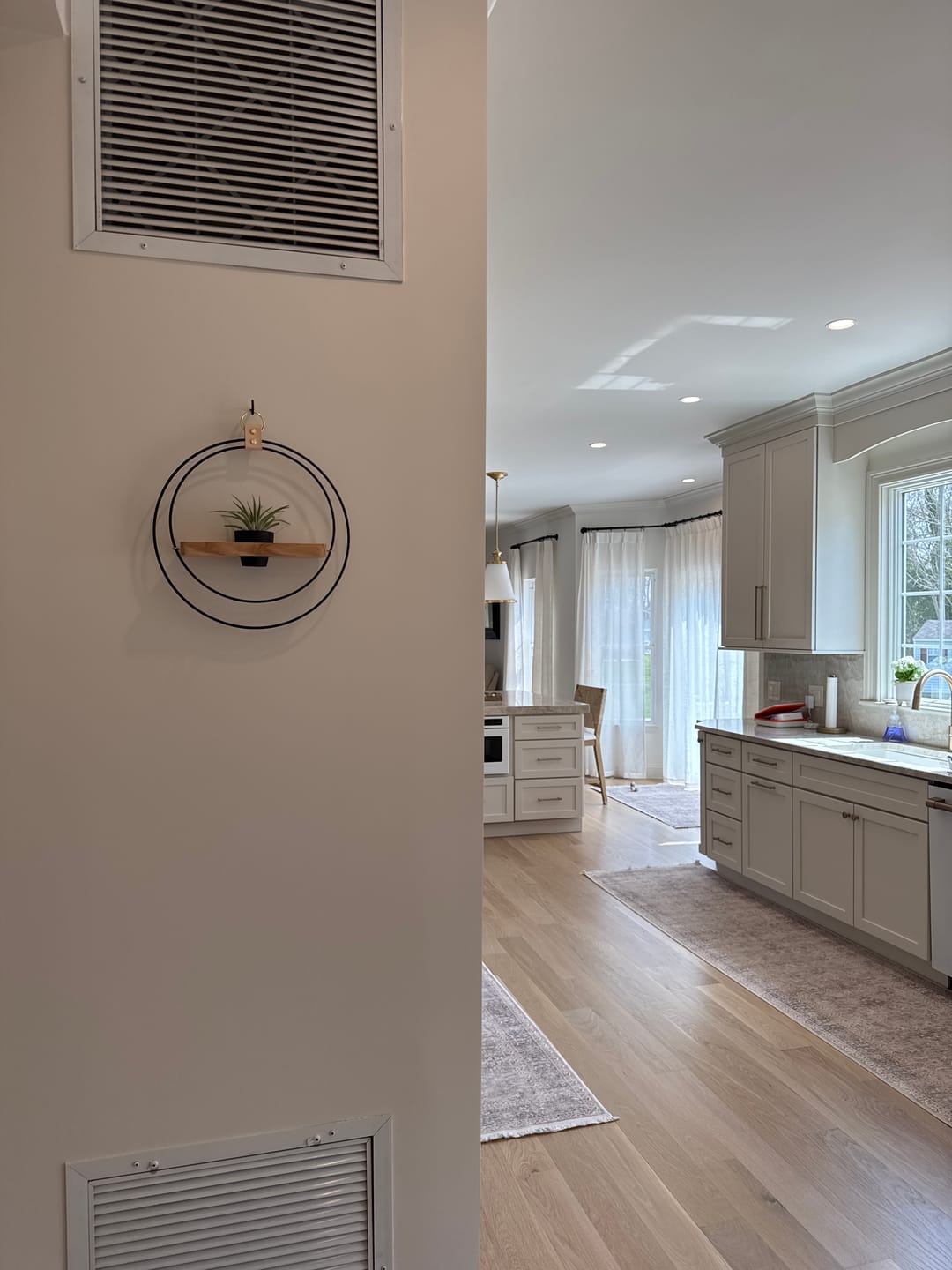 Customer photo review of Air Plant Shelf + Pot