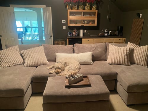 Customer photo review of Mas Mesa 158" Deep Double Chaise With Armless Loveseat