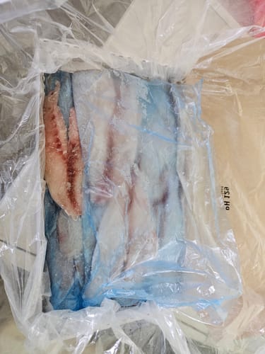 Customer photo review of 5KG Snapper Fillets (Skinned and Boned) Frozen