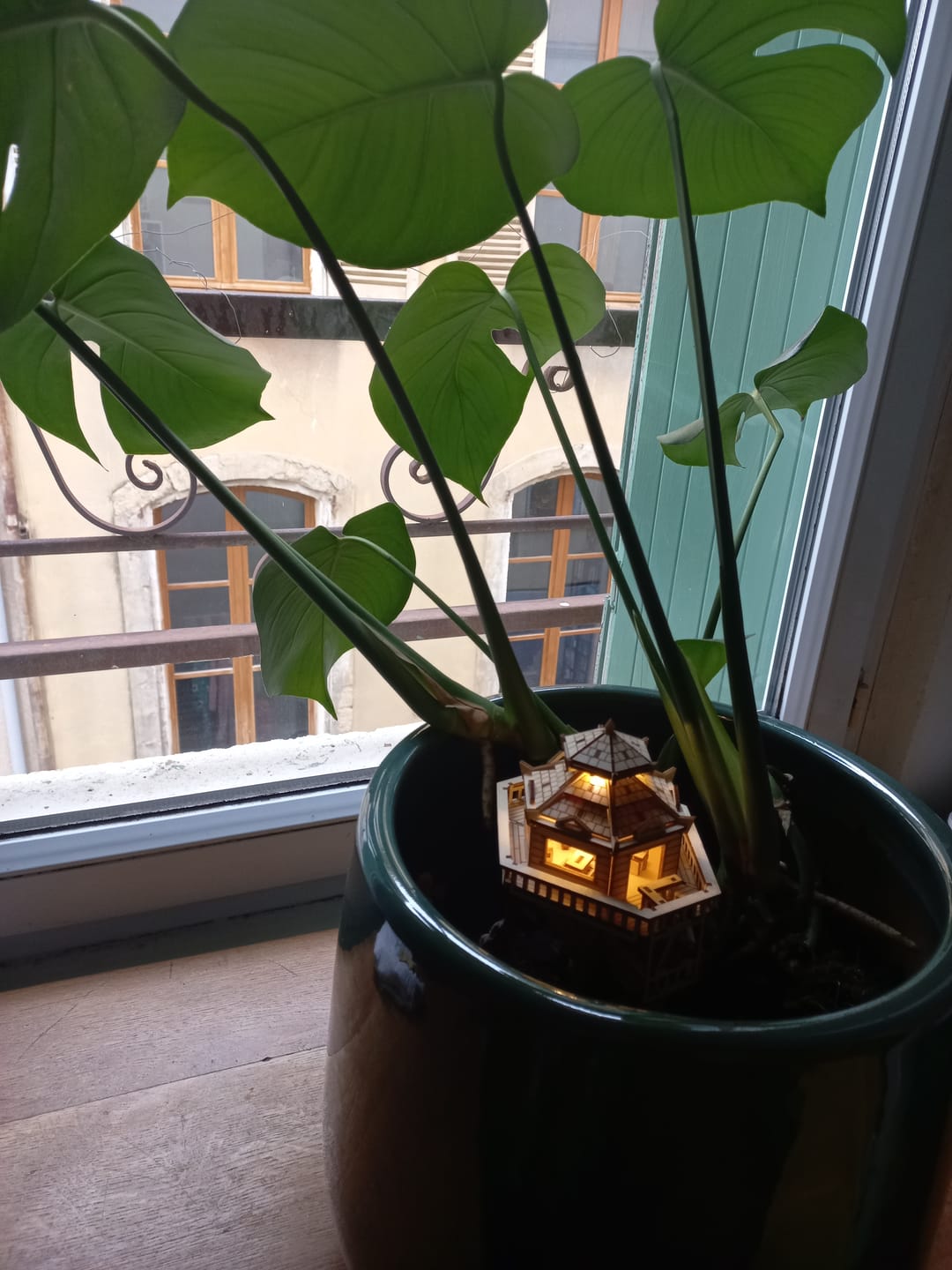 Customer photo review of Woodland Outpost
