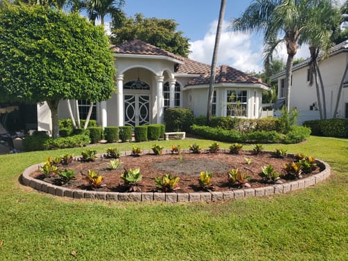 Customer photo review of Croton 'Petra'