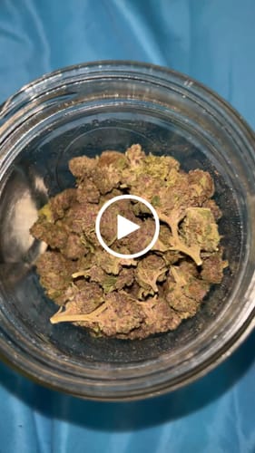 Customer video review of Pop Cherry - Bulk - Minis (Sativa)
