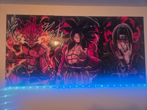 Customer photo review of Go At It Plexi Glass Wall Art