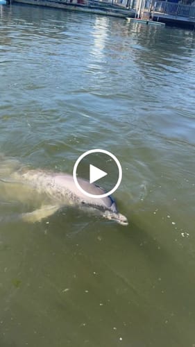 Customer video review of Cordura® Campus Backpack with Laptop Sleeve