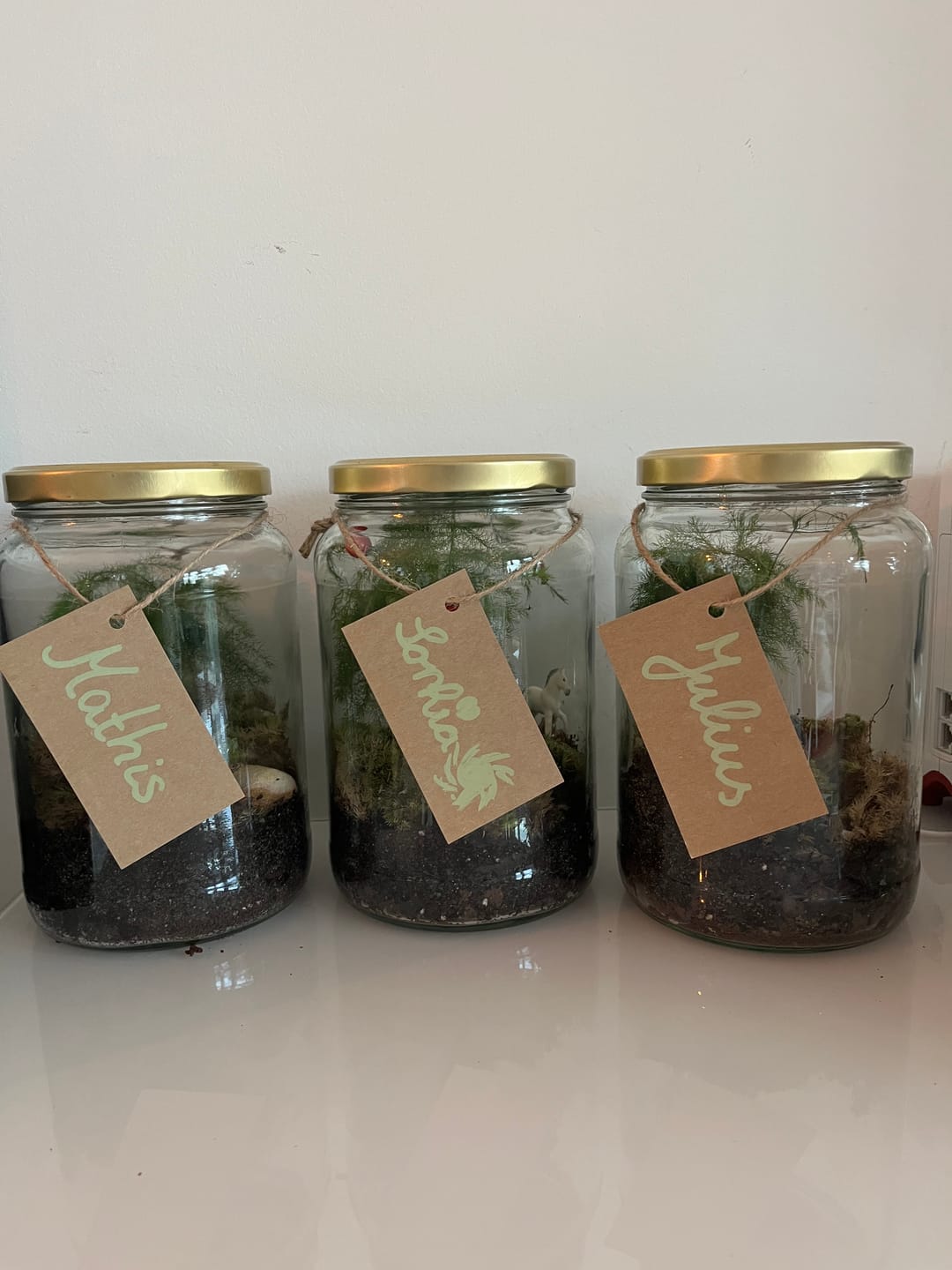 Customer photo review of Lieferung zum Wunschtermin