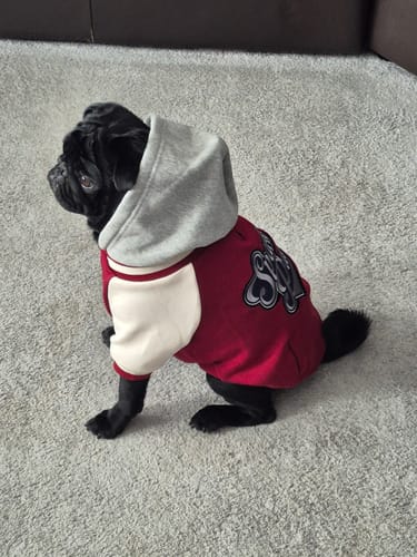 Customer photo review of Dog Varsity Jacket - Red