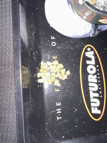 Customer photo review of Cookies and Cream - 28 Grams Littles - Hybrid