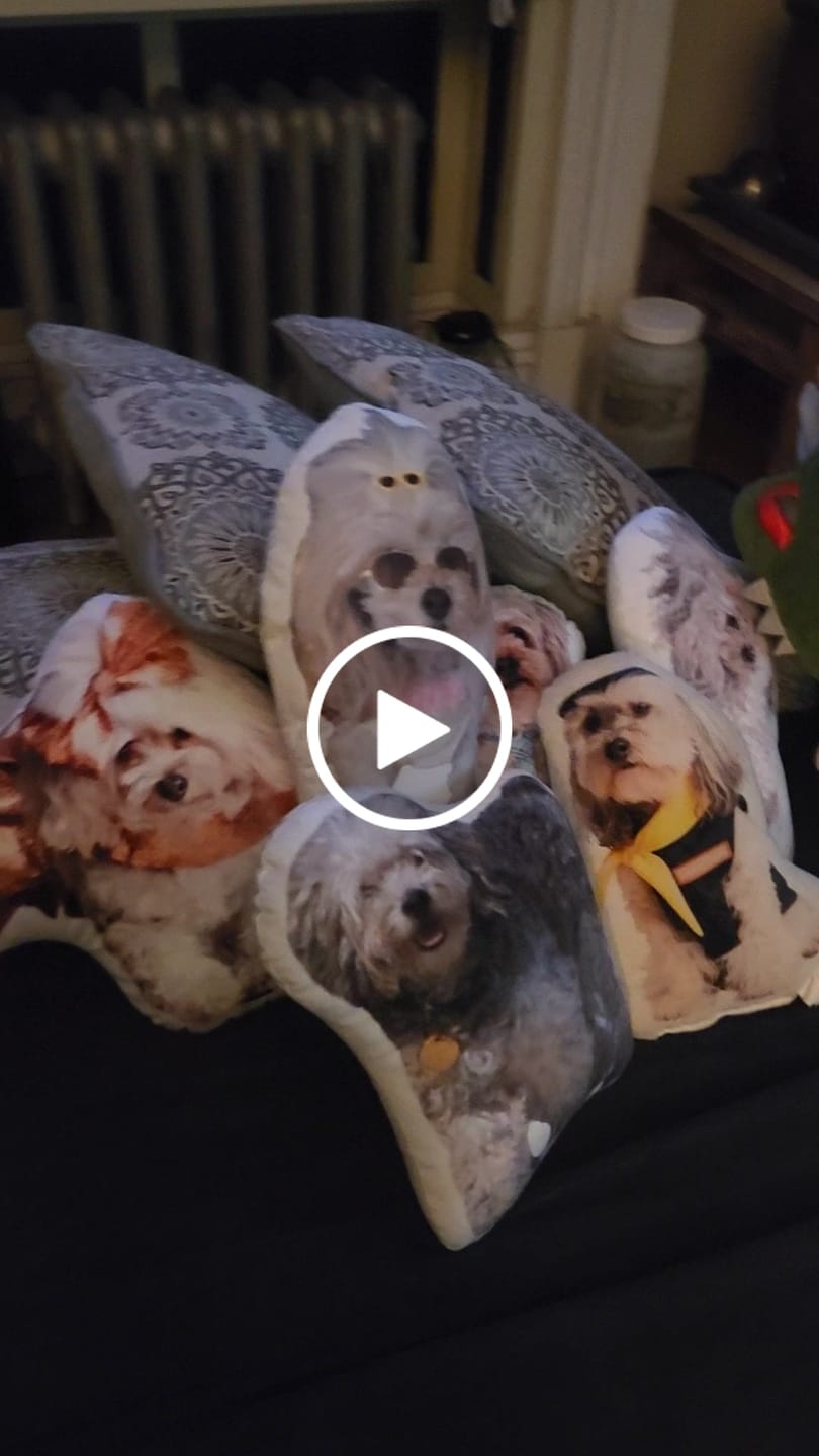 Customer video review of Custom Shaped Pillow with Loved One Picture of Person/Pet Personalized 3d Photo Pillow
