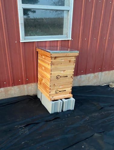 Customer photo review of BeeCastle Hives 10 Frame Wax Coat Complete Beehive Kit:2 Designed Deep Bee Boxes and 1 Super Medium Box,Includes Premium Wooden Frames and Beeswax-Plastic Foundation