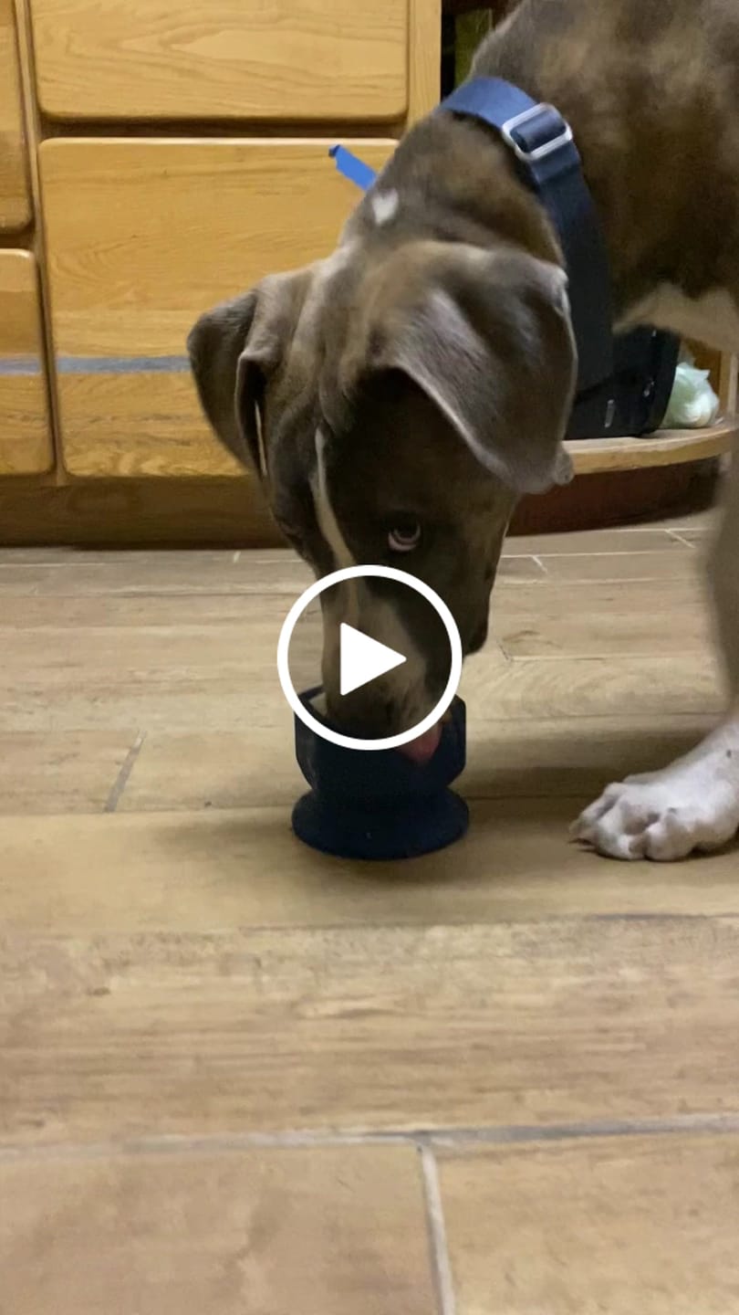 Customer video review of FreezCup - Long-Lasting Chew Fun