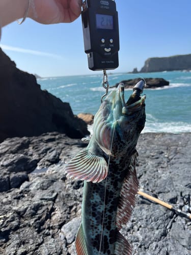 Customer photo review of Fisherman's Life® Stickers