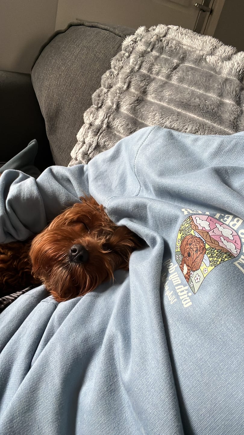 Customer photo review of Personalised Life is Better with your dog Hoody