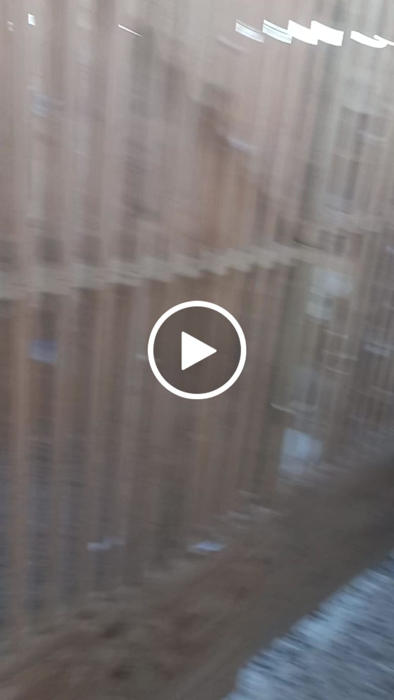 Customer video review of Avi Forte Gel (Performance & Vitality for Poultry, Pigeons & Pet Birds)