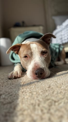 Customer photo review of Essential Human Hoodie - Teal