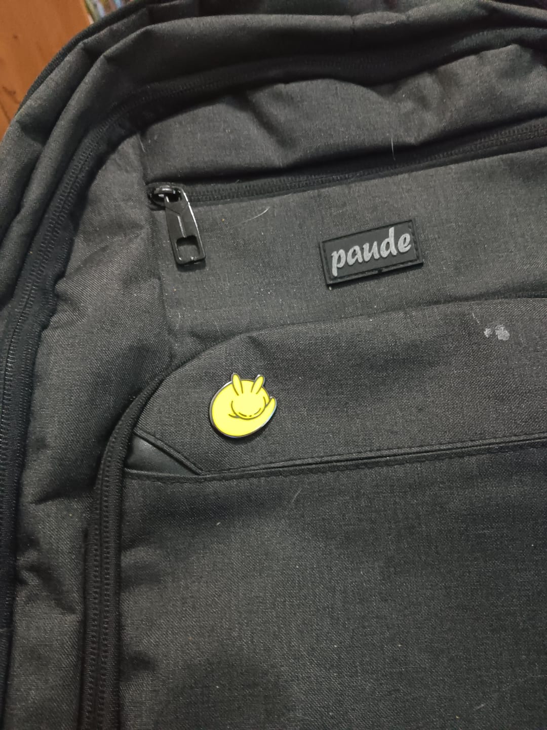 Customer photo review of Rain World - Slugcat Monk Pin