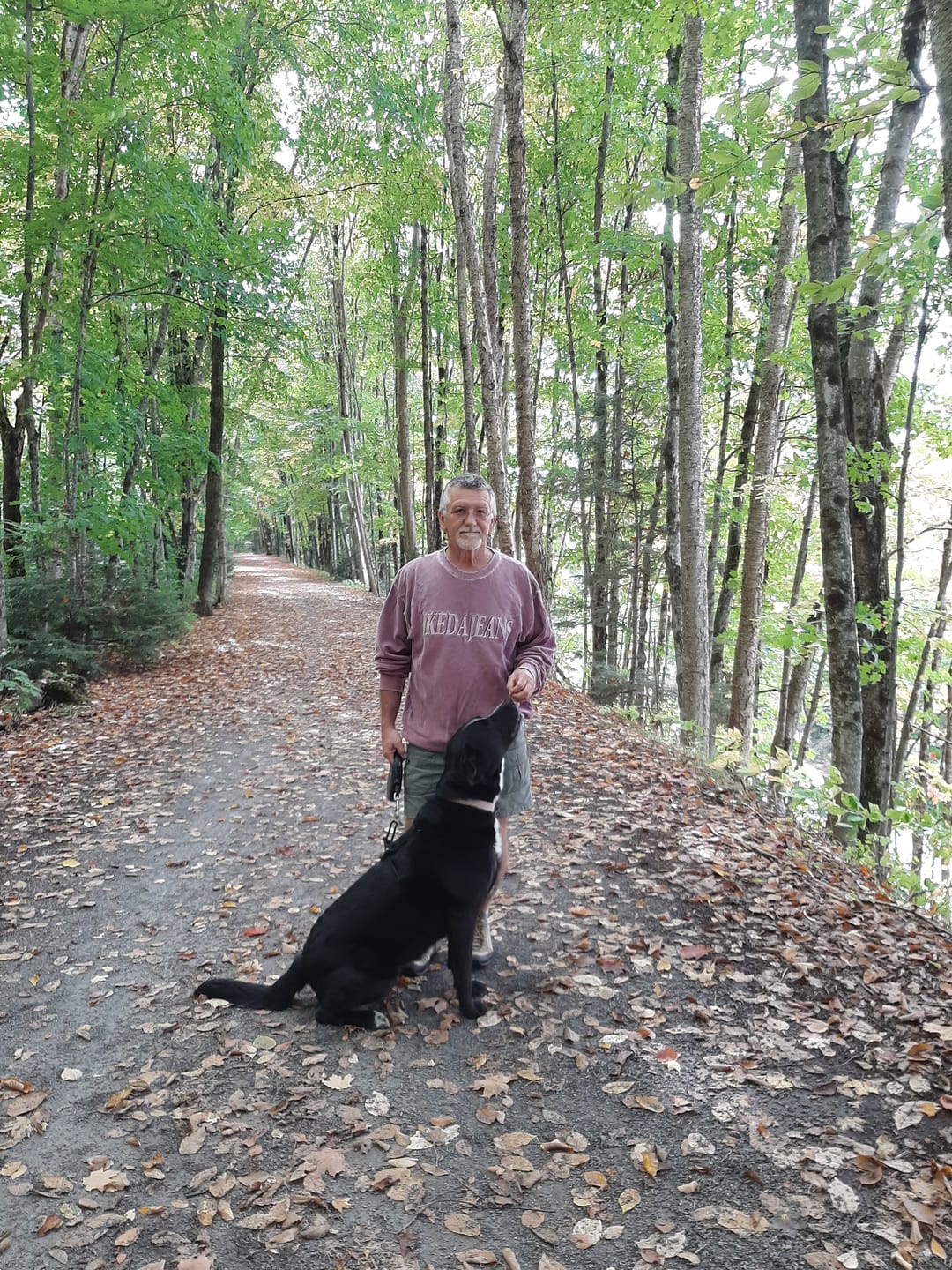 Customer photo review of Bold By Nature - Mega Viande crue pour chien
