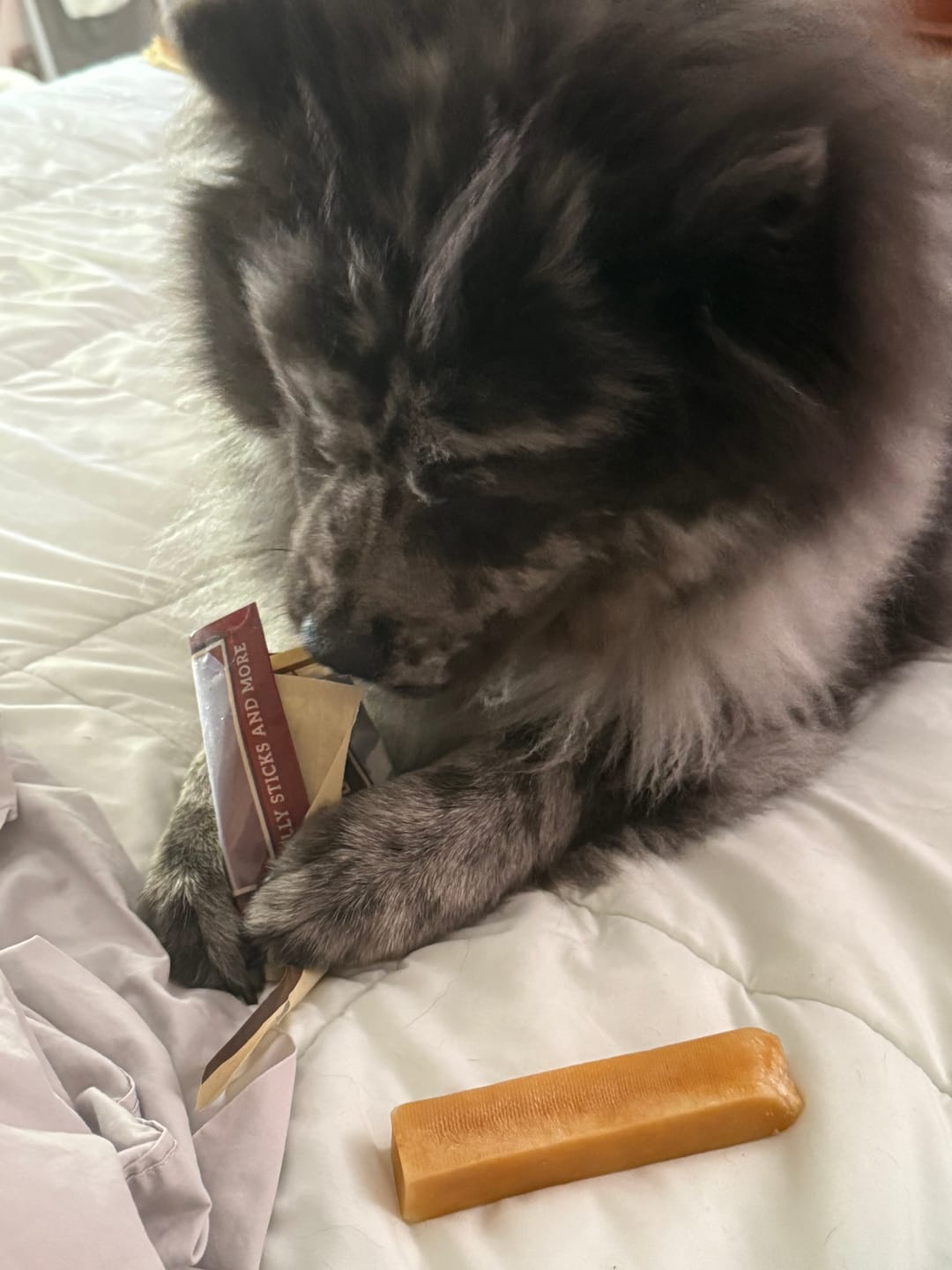Customer photo review of Himalayan Yak Chew (SMALL)
