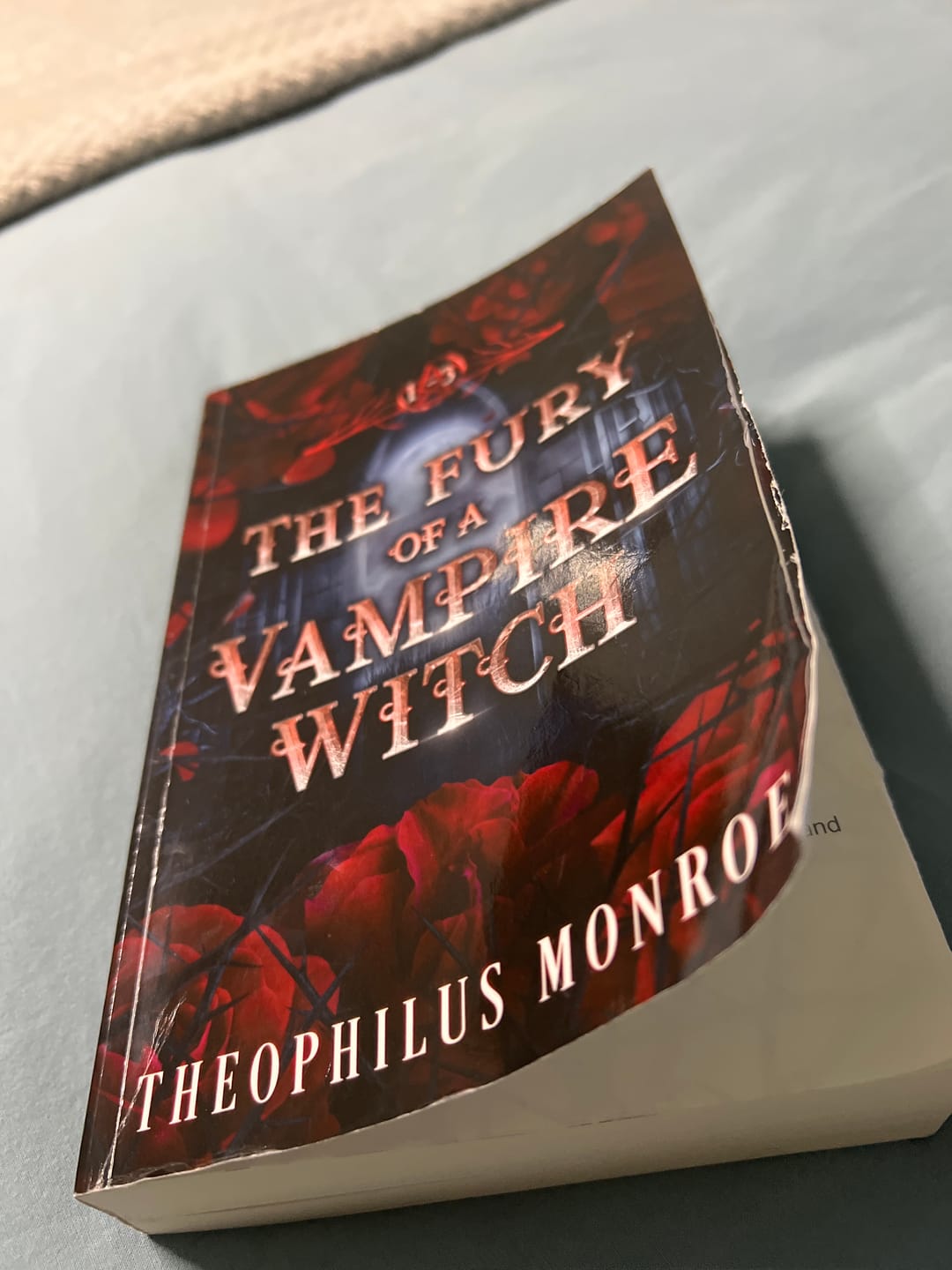 Customer photo review of The Fury of a Vampire Witch (Books 1-3)