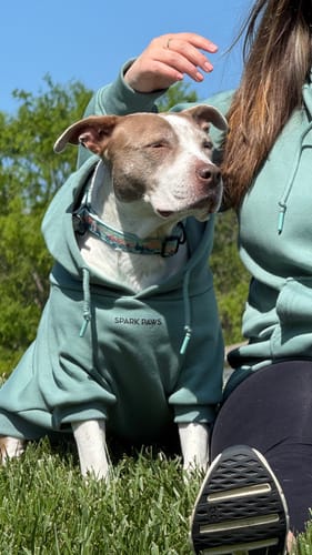 Customer photo review of Essential Human Hoodie - Teal