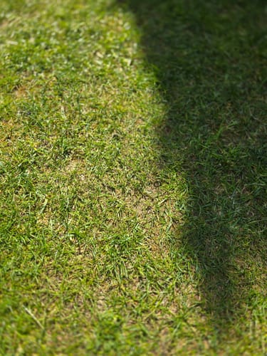 Kundenbewertung mit Foto zu RASENBLITZ™ - GANZJAHRESDÜNGER