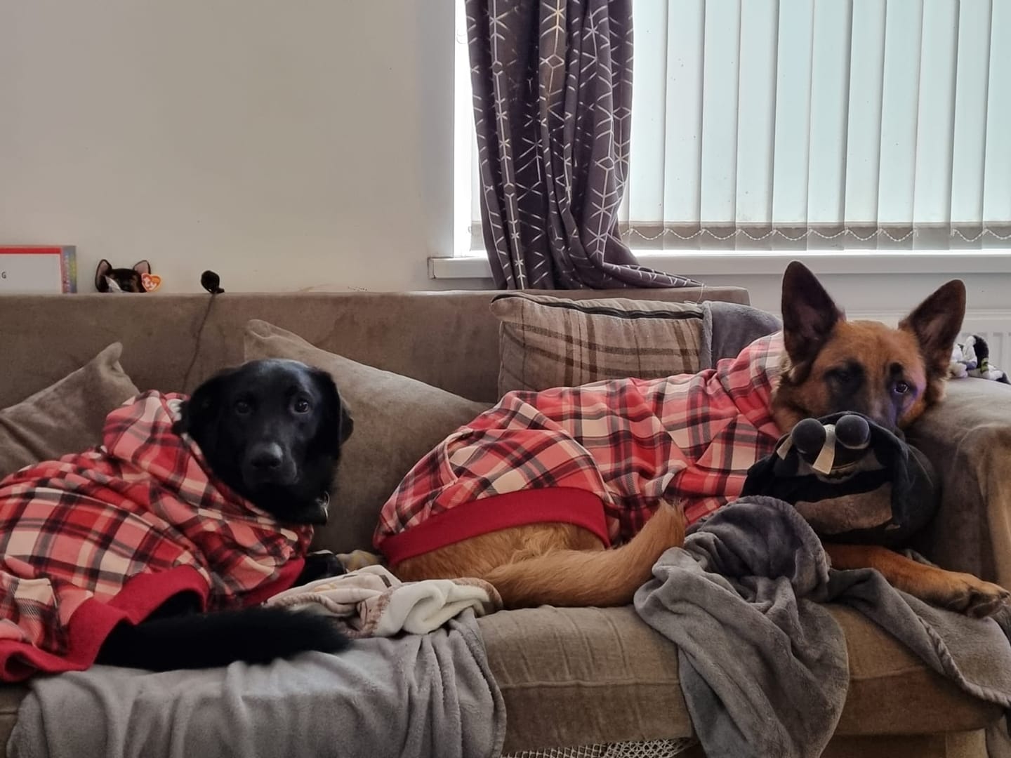 Customer photo review of Red Plaid Human Hoodie