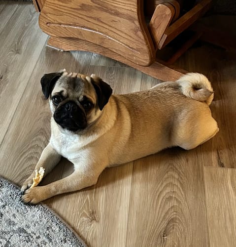 Customer photo review of Custom Paint By Numbers Kit