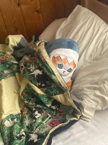 Customer photo review of Cartoon Shark Cat Doll Plush Toy Pillow