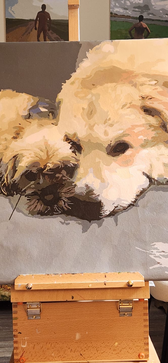 Customer photo review of Paint your own Photo - Custom Paint by Number