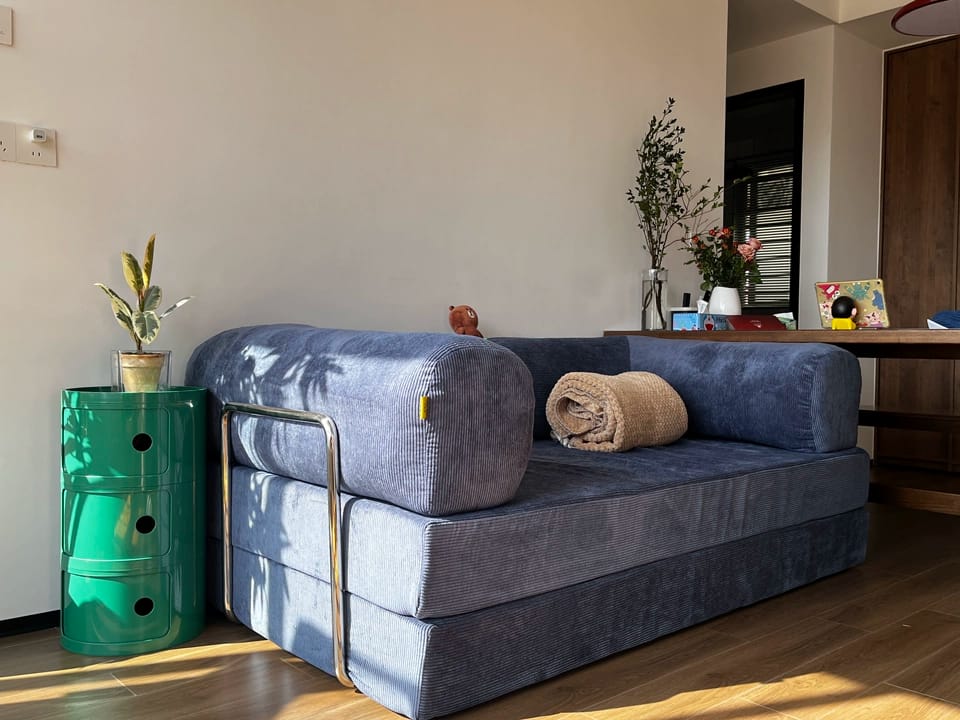 Customer photo review of VacuumLuxe Compression Sofa