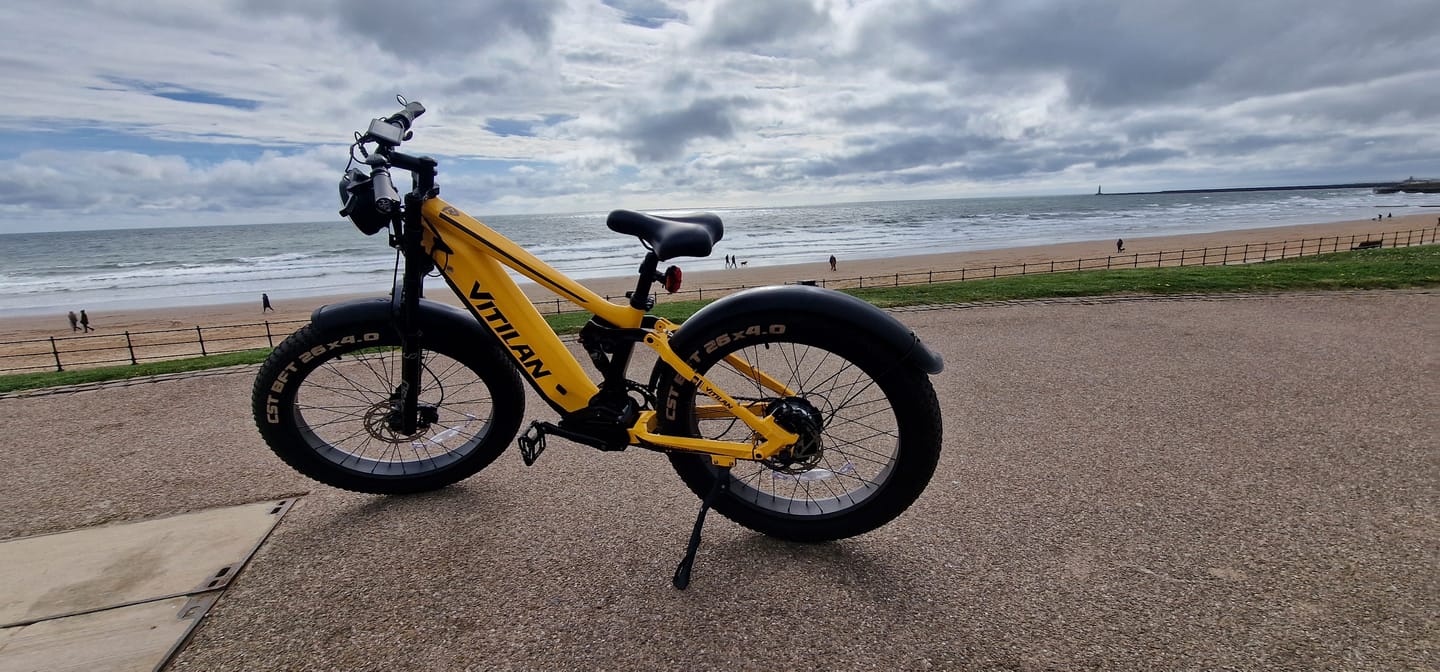 Customer photo review of T7 Full Suspension Mountain E-bike