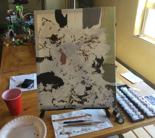 Customer photo review of Custom Paint By Numbers Kit