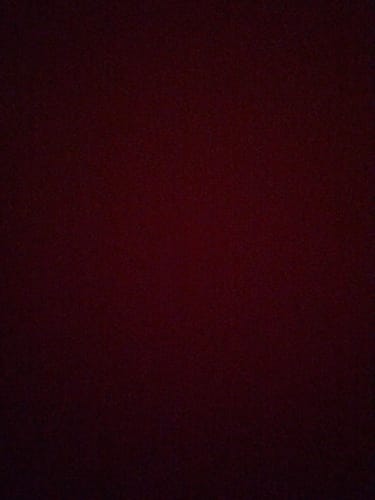 Customer photo review of Haokali Penguin Face Mask 1S