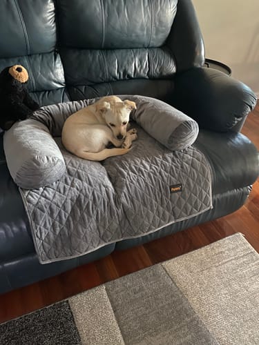 Customer photo review of PaWz Pet Couch Cover