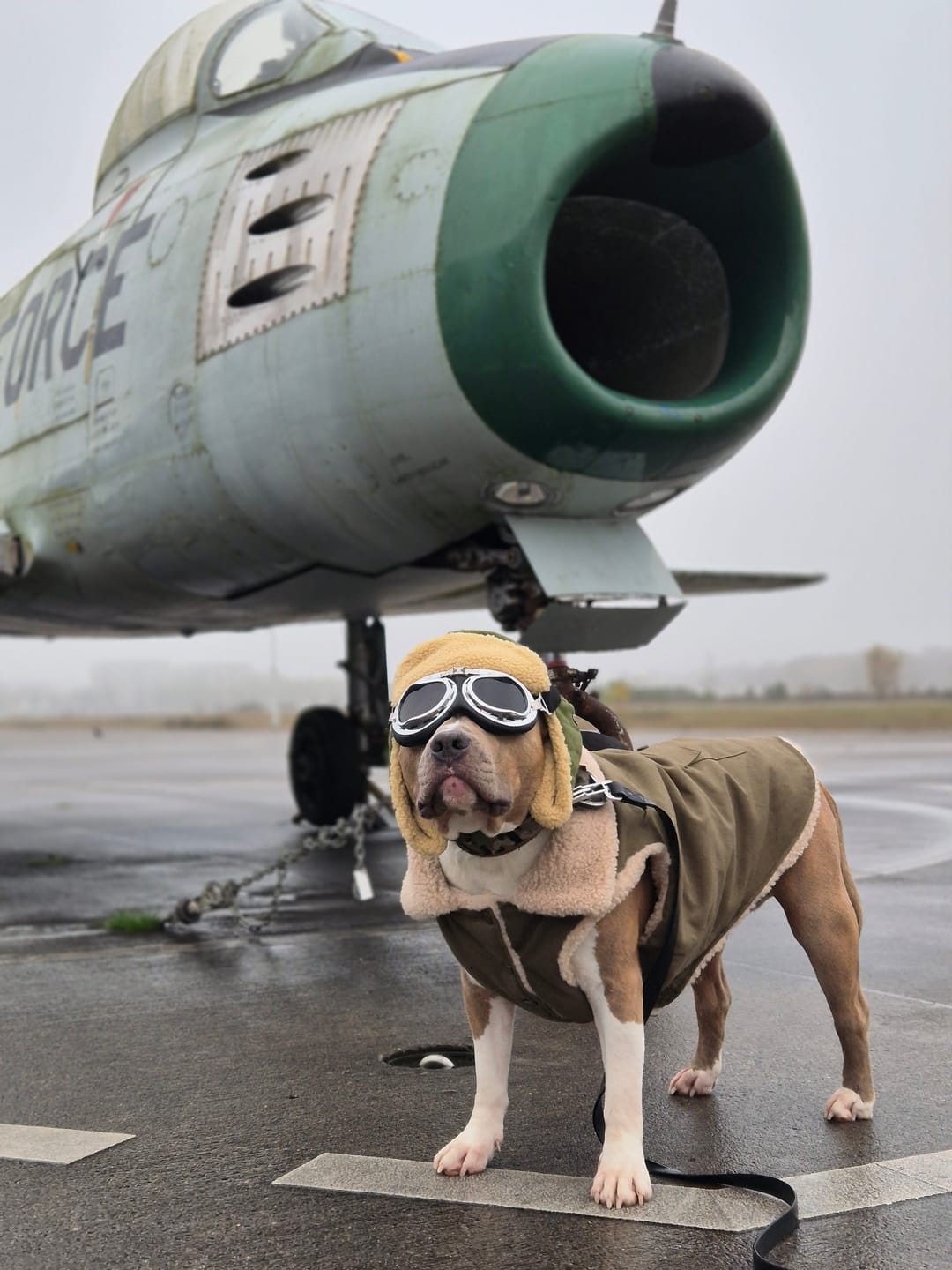 Customer photo review of Workdog Insulated Utility Jacket - Green