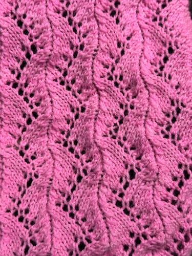 Customer photo review of Baby Paca