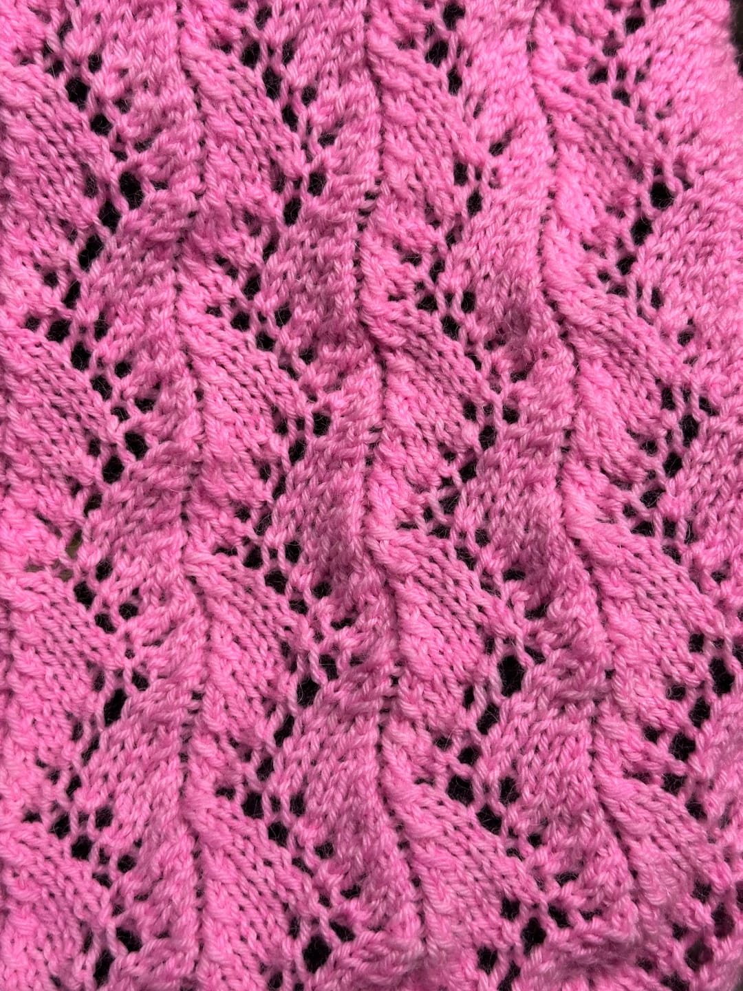 Customer photo review of Baby Paca