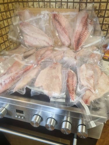 Customer photo review of 5KG Snapper Fillets (Skinned and Boned) Frozen